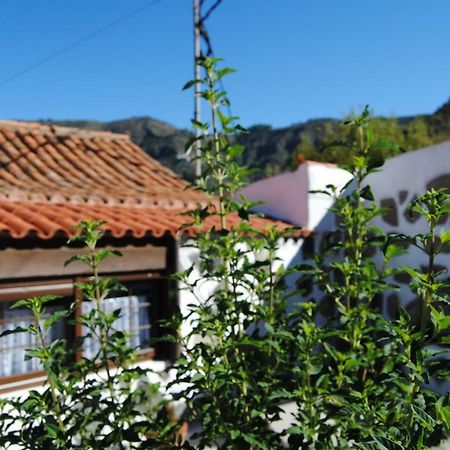 Ilusiones Villa Tejeda  Dış mekan fotoğraf