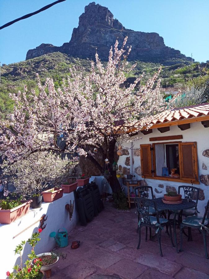 Ilusiones Villa Tejeda  Dış mekan fotoğraf