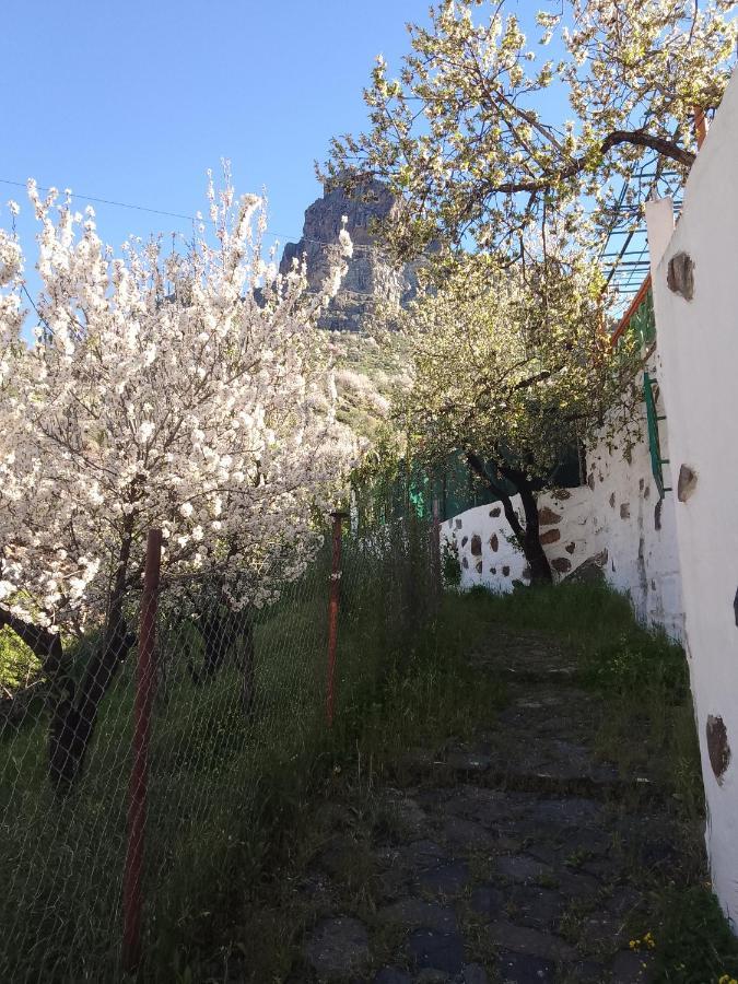 Ilusiones Villa Tejeda  Dış mekan fotoğraf