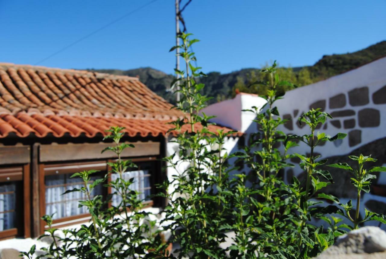 Ilusiones Villa Tejeda  Dış mekan fotoğraf